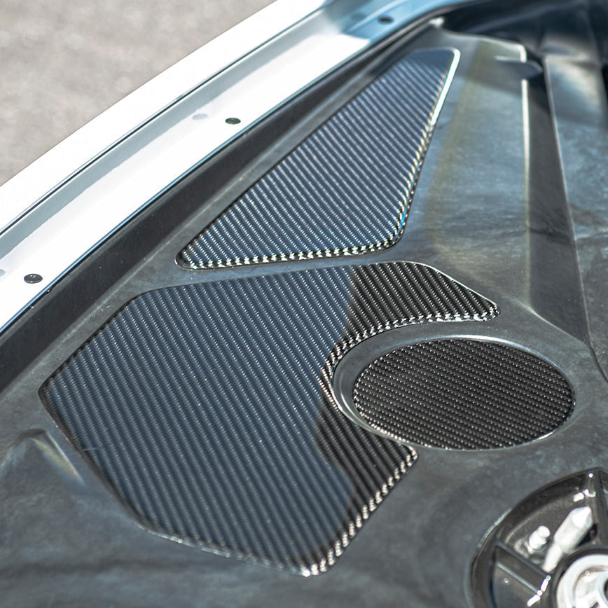 Corvette C8 Engine Bay DRY CARBON FIBER Panel Accent Covers